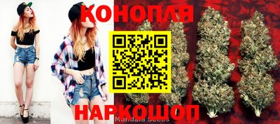 сатива Донской