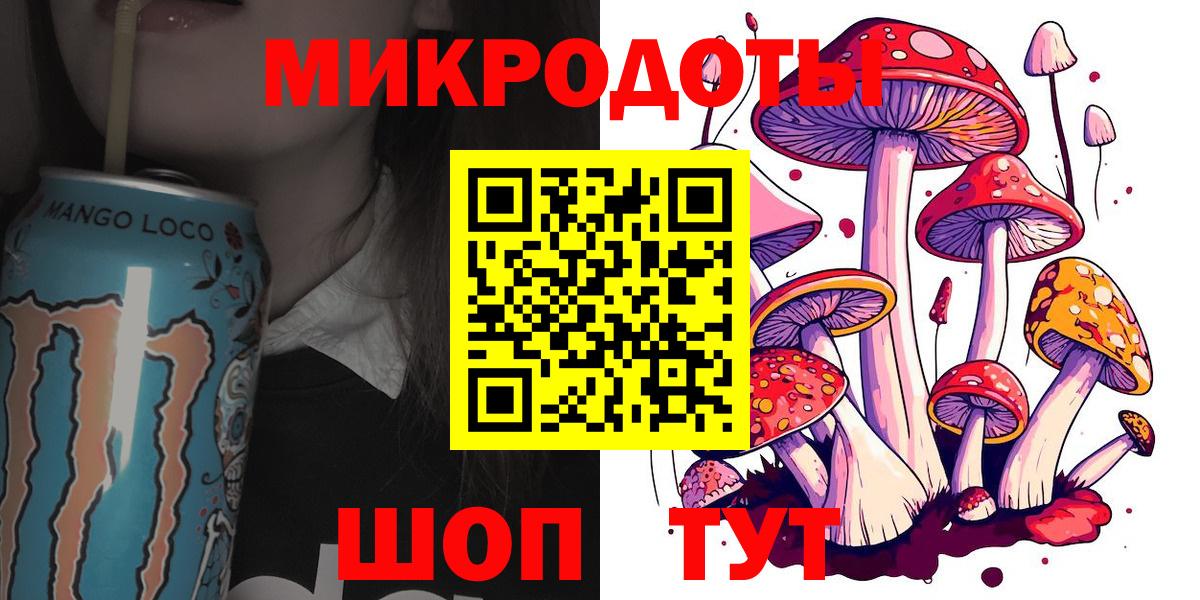 Псилоцибиновые грибы Cubensis  магазин продажи   Минусинск  Вход с VPN 