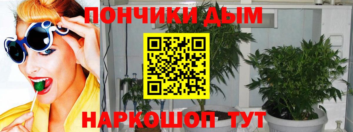 Бошки марихуана конопля  МАРИХУАНА тримм  Вход с VPN  Канабис SATIVA & INDICA  Минусинск 